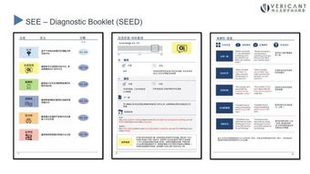 维立克总分-维立克面试是什么