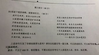 维立克面试作文题库-维立克面试是什么