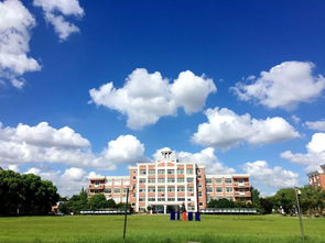 上海国际学校排名校徽-上海枫叶国际学校带您认识枫叶校徽校旗