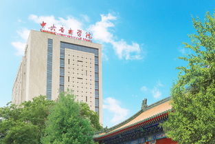 北京中央音乐学院鼎石实验学校-中央音乐学院鼎石实验学校