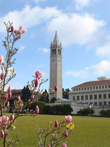 加州大学伯克利分校的吉祥物-美国大学稀奇古怪的吉祥物