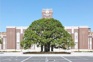 京都大学回国就业前景-2020年京都大学回国认可度