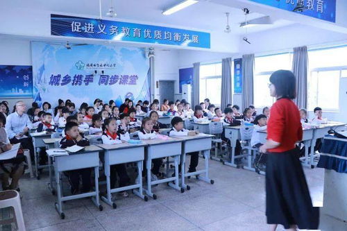 平和的学校老师-上海青浦平和双语学校