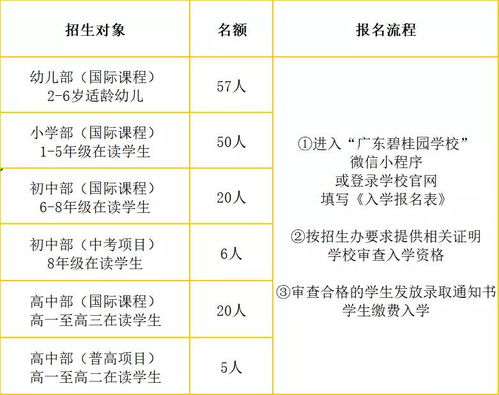 省实国际部考试2021-广东实验中学越秀学校国际部2021年招生简章