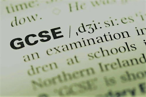 需要gcse的专业-LSE热门专业对GCSE成绩都有什么要求