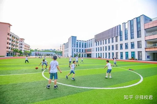 初三去国际学校-初二学生能否先上国际学校初三再考国际学校高中