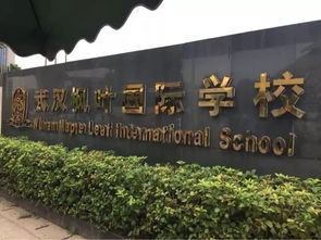 武汉最贵国际学校-武汉这8所国际学校学费这么贵