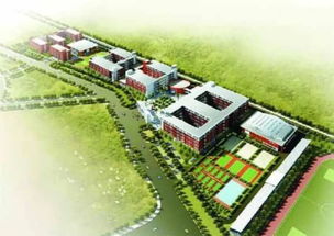 武汉为明实验学校国际高中-武汉为明国际学校2021年招生简章