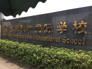武汉枫叶国际学校高中录取线-武汉枫叶国际学校