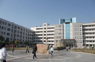 南京中学国际班有哪些-南京公立学校国际部有哪些