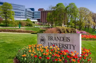 布兰迪斯大学排名下降-布兰迪斯大学2021排名各榜单汇总
