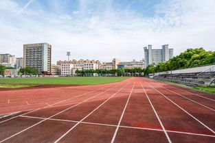 怎么样的学生适合初中上国际学校-哪些类型的学生更适合就读国际初中