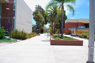 加州路德大学us-美国加利福尼亚州有哪些大学