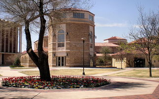 德克萨斯大学金州-德克萨斯大学大河谷分校