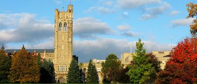 western ontario大学-western ontario大学