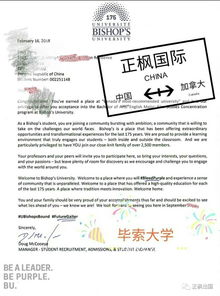 毕索大学offer-轻松斩获毕索大学计算机科学offer