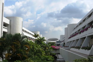 新加坡理工大学情况-2020年新加坡理工大学硕士就业情况