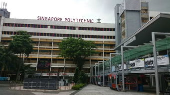 新加坡理工学院好进吗-2020年新加坡理工学院怎么样