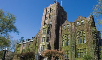 密歇根大学和纽约大学-密歇根大学安娜堡分校和纽约大学哪个好