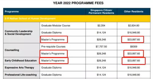 留学新加坡咨询费用-一年的费用有多少