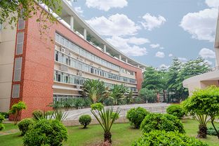 如何引进国际学校-怎样才能顺利地进入北京爱迪国际学校