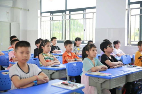 尚德小学插班考什么-上海国际学校插班考考什么