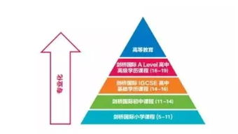 领科课程-领科教育上海校区课程设置介绍