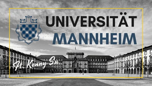 曼海姆MMM专业在哪个学院-跪求学姐学长告知Mannheim的MMM专业毕业后在就业咋样