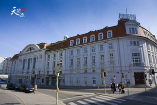 维也纳音乐学院本硕连读-维也纳音乐学院及布莱纳音乐学2016年招生考试章程