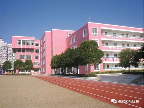 上海李文斯顿国际学校地址-上海李文斯顿国际学校怎么样