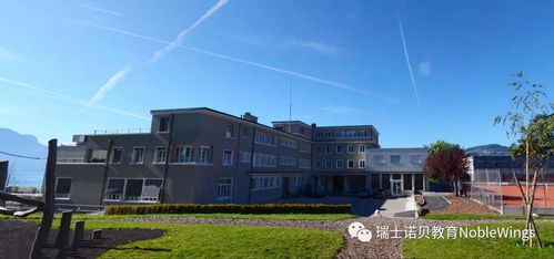 圣乔治国际学校总部-圣乔治国际学校