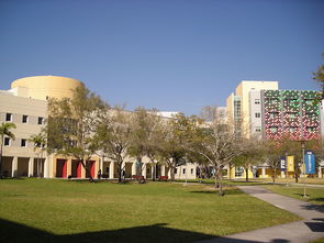 佛罗里达国际大学在美国排名-佛罗里达国际大学在美国的排名