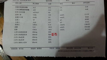 留学体检血检-留学肺结核体检血的教训……