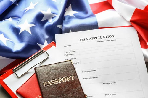 怎么可以查护照签证状态-美国签证通过后怎么查询护照的状态