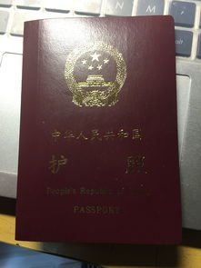 护照电子签证怎么查-申请美国签证