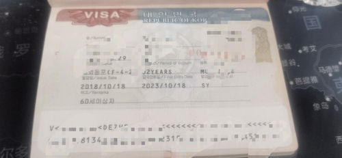 护照电子签证怎么查-申请美国签证