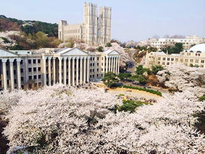 东国大学经济学-2020年东国大学有哪些优势专业