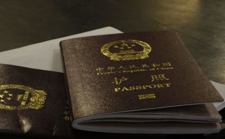 换护照对签证有影响吗-签证误区解析