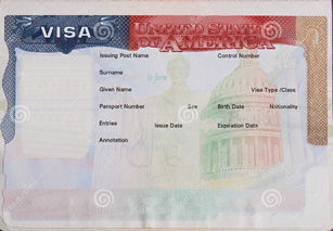 美国探亲申请什么签证-去美国探亲应该申请什么签证