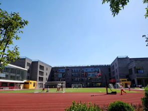 海口北大附中学费多少一学期-北大附中海口学校