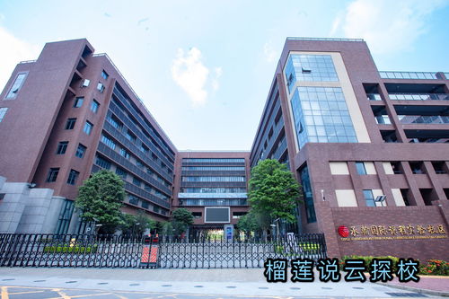 承翰实验学校国际部怎样-深圳实验承翰学校好不好