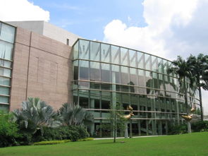 新加坡马来亚大学-马来亚大学毕业去新加坡