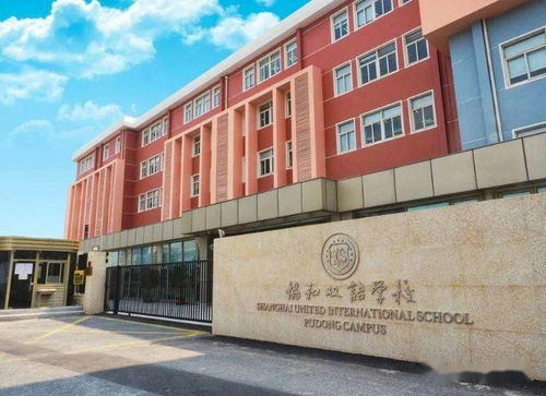 上海公立小学国际部-魔都公办学校国际班和国际部有多厉害