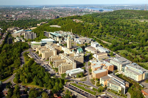 蒙特利尔的大学排名-蒙特利尔大学排名