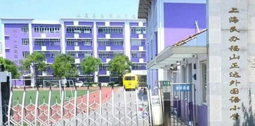 上海体制内民办小学-体制内公立学校与私立国际学校有哪些区别