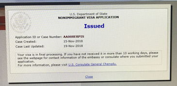美国面签后多久可查签证信息-申请美国签证