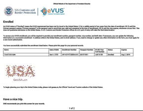 evus打不开-美国签证EVUS登记不成功怎么办