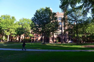 耶鲁和哈佛哪个校园美-哈佛大学和耶鲁大学哪个好