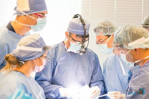 世界最好的牙医大学-2019QS世界大学专业排名