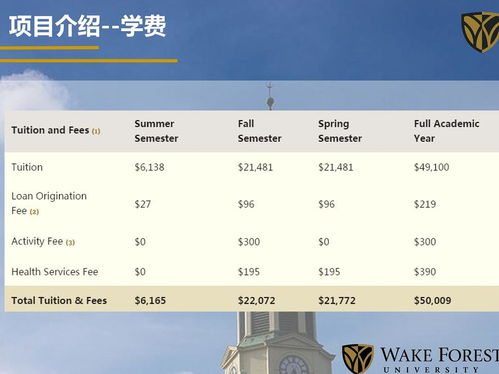 wfu msba-ChaseDream2018年全美BusinessAnalytics专业硕士研究